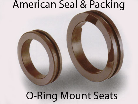 Silicon Carbide Seal